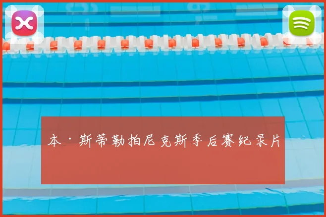 本·斯蒂勒拍尼克斯季后赛纪录片
