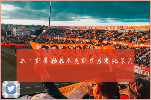 本·斯蒂勒拍尼克斯季后赛纪录片